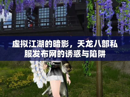 虚拟江湖的暗影，天龙八部私服发布网的诱惑与陷阱