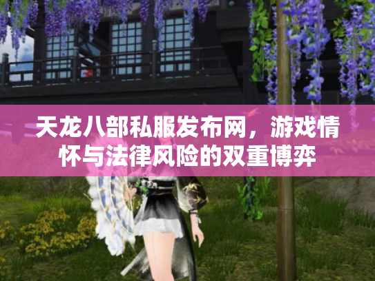 天龙八部私服发布网，游戏情怀与法律风险的双重博弈
