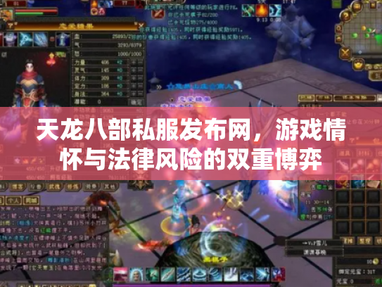 天龙八部私服发布网，游戏情怀与法律风险的双重博弈