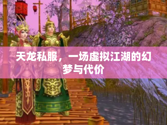 天龙私服，一场虚拟江湖的幻梦与代价