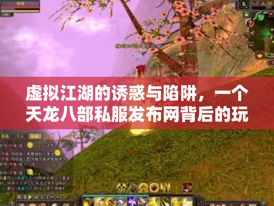虚拟江湖的诱惑与陷阱，一个天龙八部私服发布网背后的玩家悲欢
