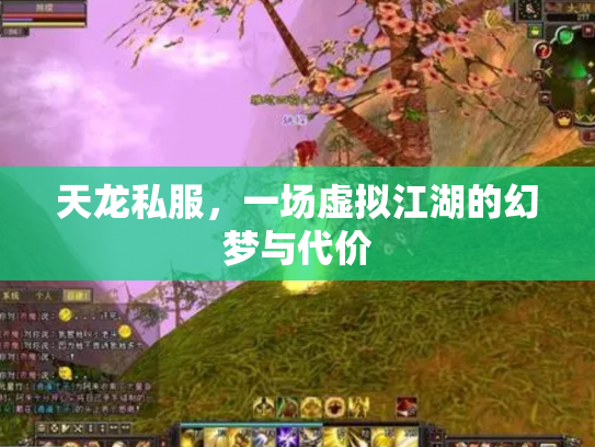 天龙私服，一场虚拟江湖的幻梦与代价