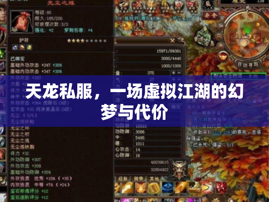 天龙私服，一场虚拟江湖的幻梦与代价
