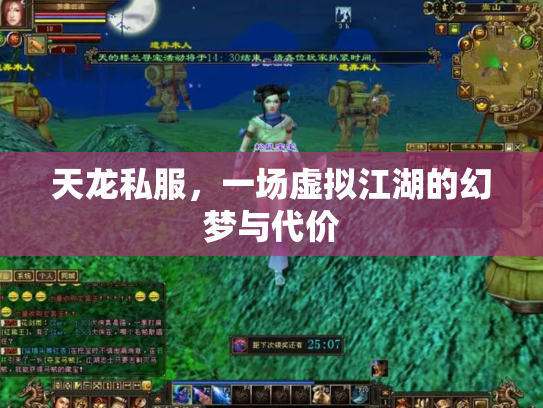 天龙私服，一场虚拟江湖的幻梦与代价