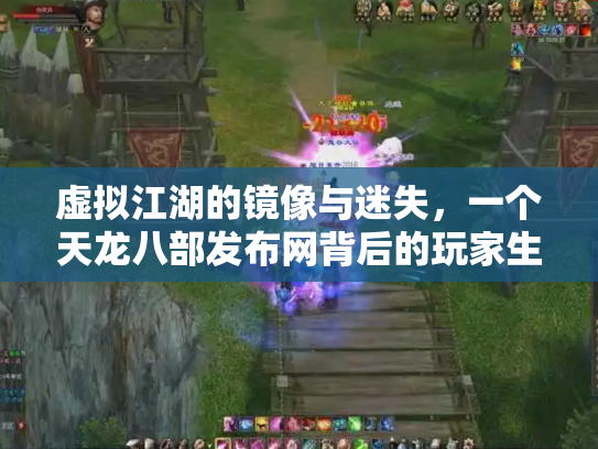 虚拟江湖的镜像与迷失，一个天龙八部发布网背后的玩家生态志