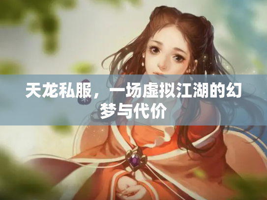 天龙私服，一场虚拟江湖的幻梦与代价
