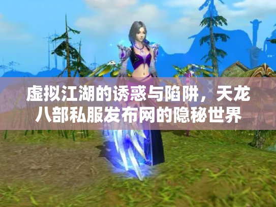 虚拟江湖的诱惑与陷阱，天龙八部私服发布网的隐秘世界