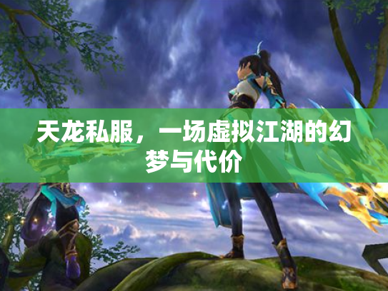 天龙私服，一场虚拟江湖的幻梦与代价