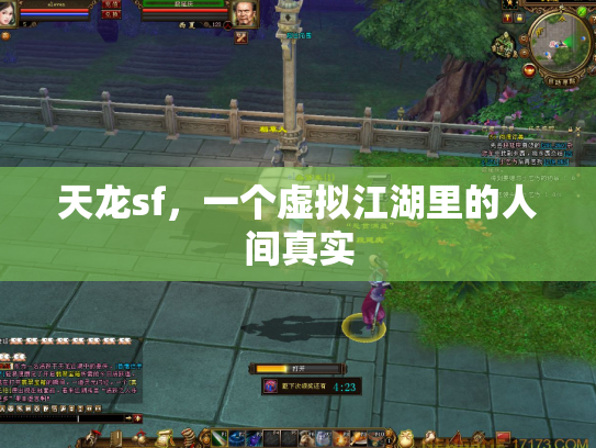天龙sf，一个虚拟江湖里的人间真实