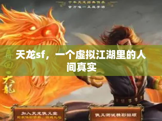 天龙sf，一个虚拟江湖里的人间真实