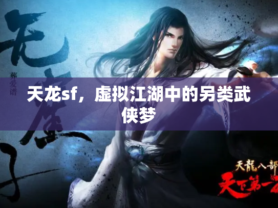 天龙sf，虚拟江湖中的另类武侠梦