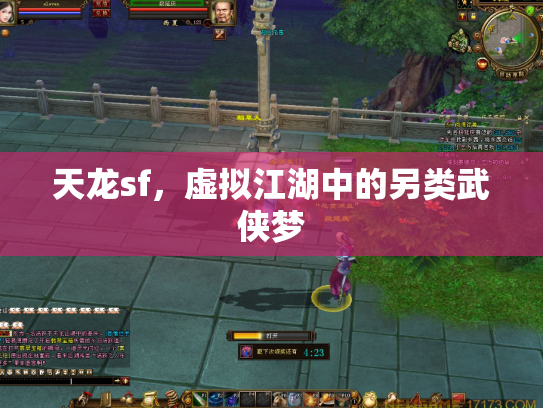 天龙sf，虚拟江湖中的另类武侠梦