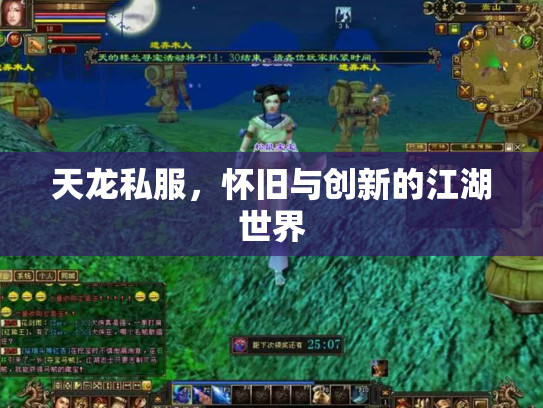 天龙私服，怀旧与创新的江湖世界