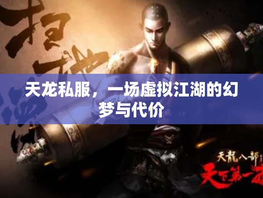 天龙私服，一场虚拟江湖的幻梦与代价
