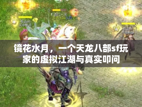 镜花水月，一个天龙八部sf玩家的虚拟江湖与真实叩问