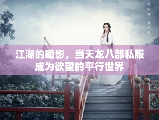 江湖的暗影，当天龙八部私服成为欲望的平行世界