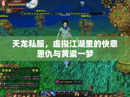 天龙私服，虚拟江湖里的快意恩仇与黄粱一梦
