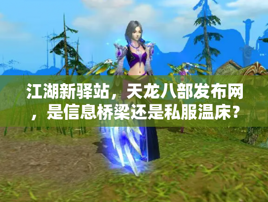 江湖新驿站，天龙八部发布网，是信息桥梁还是私服温床？