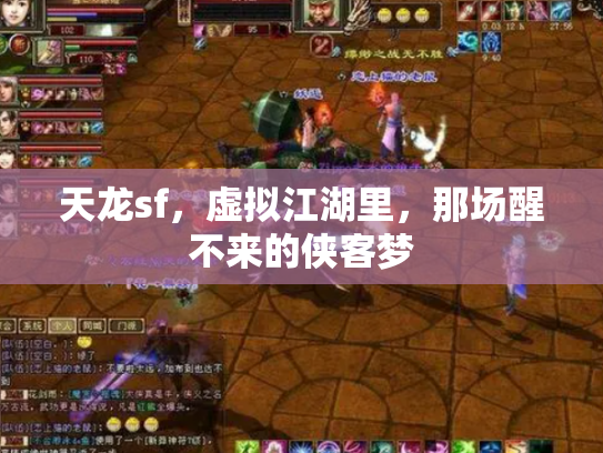 天龙sf，虚拟江湖里，那场醒不来的侠客梦