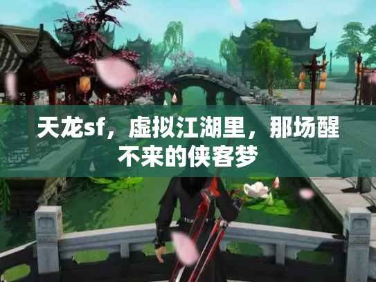 天龙sf，虚拟江湖里，那场醒不来的侠客梦