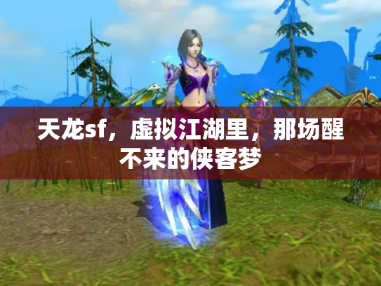 天龙sf，虚拟江湖里，那场醒不来的侠客梦
