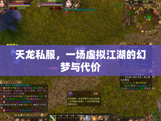 天龙私服，一场虚拟江湖的幻梦与代价