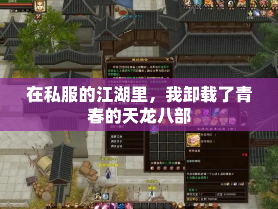 在私服的江湖里，我卸载了青春的天龙八部