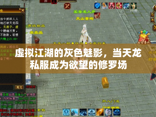 虚拟江湖的灰色魅影，当天龙私服成为欲望的修罗场
