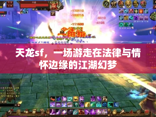 天龙sf，一场游走在法律与情怀边缘的江湖幻梦