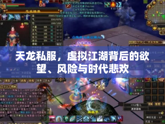 天龙私服，虚拟江湖背后的欲望、风险与时代悲欢