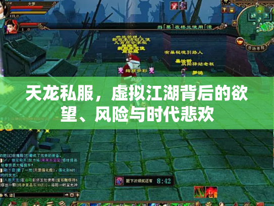 天龙私服，虚拟江湖背后的欲望、风险与时代悲欢
