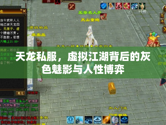 天龙私服，虚拟江湖背后的灰色魅影与人性博弈