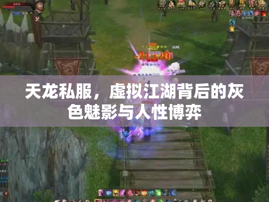 天龙私服，虚拟江湖背后的灰色魅影与人性博弈