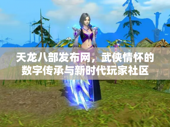 天龙八部发布网，武侠情怀的数字传承与新时代玩家社区