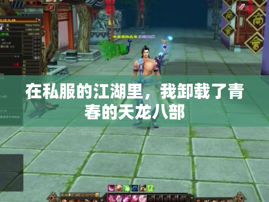 在私服的江湖里，我卸载了青春的天龙八部