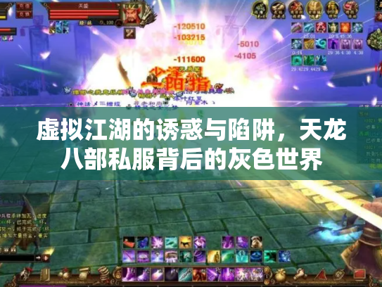 虚拟江湖的诱惑与陷阱，天龙八部私服背后的灰色世界