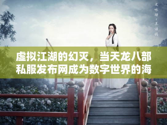 虚拟江湖的幻灭，当天龙八部私服发布网成为数字世界的海市蜃楼