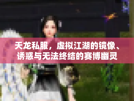 天龙私服，虚拟江湖的镜像、诱惑与无法终结的赛博幽灵