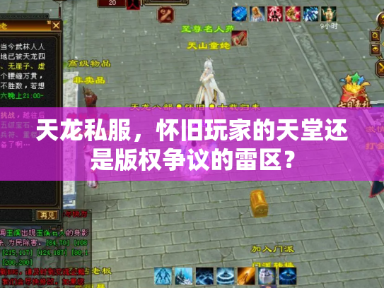 天龙私服，怀旧玩家的天堂还是版权争议的雷区？
