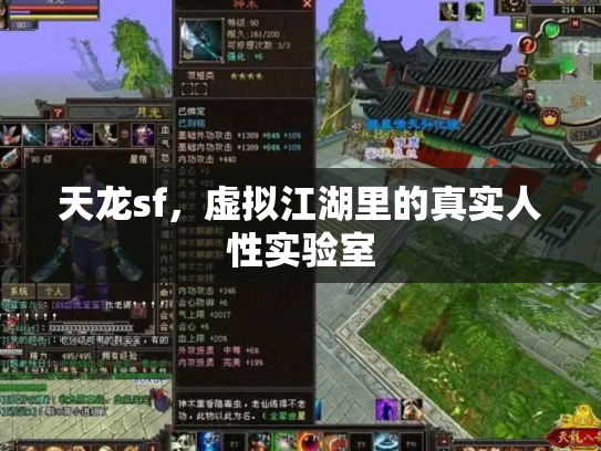 天龙sf，虚拟江湖里的真实人性实验室