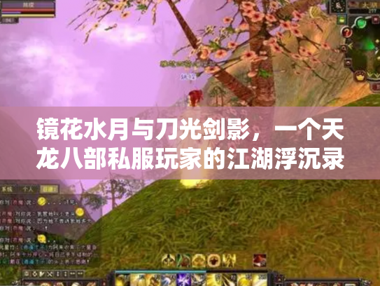 镜花水月与刀光剑影，一个天龙八部私服玩家的江湖浮沉录