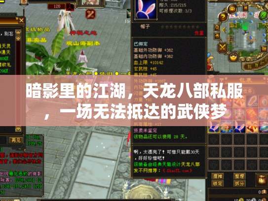 暗影里的江湖，天龙八部私服，一场无法抵达的武侠梦
