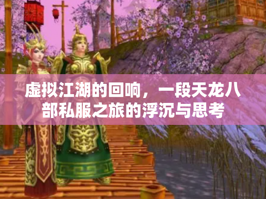 虚拟江湖的回响，一段天龙八部私服之旅的浮沉与思考