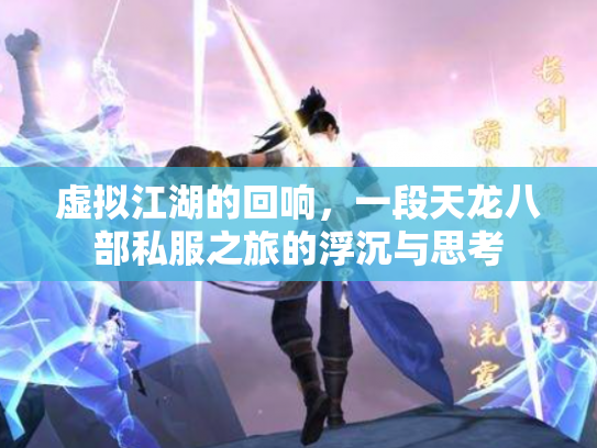 虚拟江湖的回响，一段天龙八部私服之旅的浮沉与思考