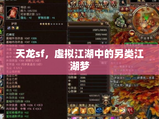 天龙sf，虚拟江湖中的另类江湖梦