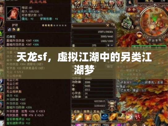 天龙sf，虚拟江湖中的另类江湖梦