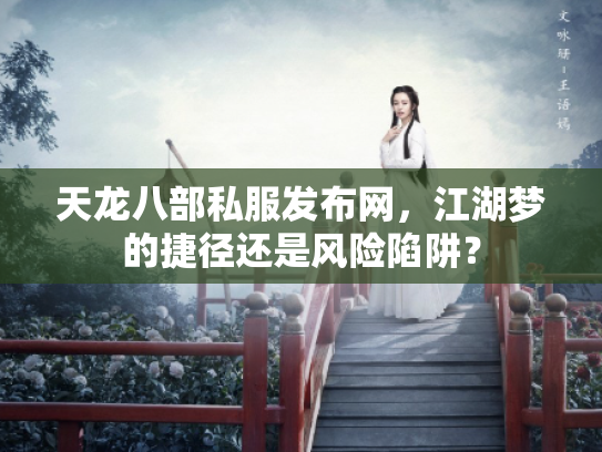 天龙八部私服发布网，江湖梦的捷径还是风险陷阱？