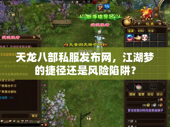 天龙八部私服发布网，江湖梦的捷径还是风险陷阱？