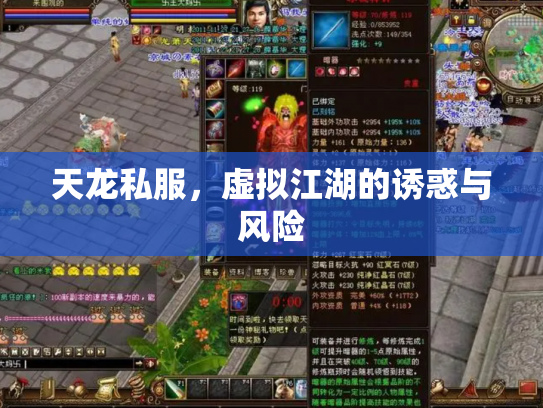 天龙私服，虚拟江湖的诱惑与风险