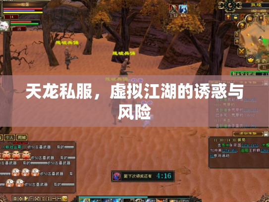 天龙私服，虚拟江湖的诱惑与风险